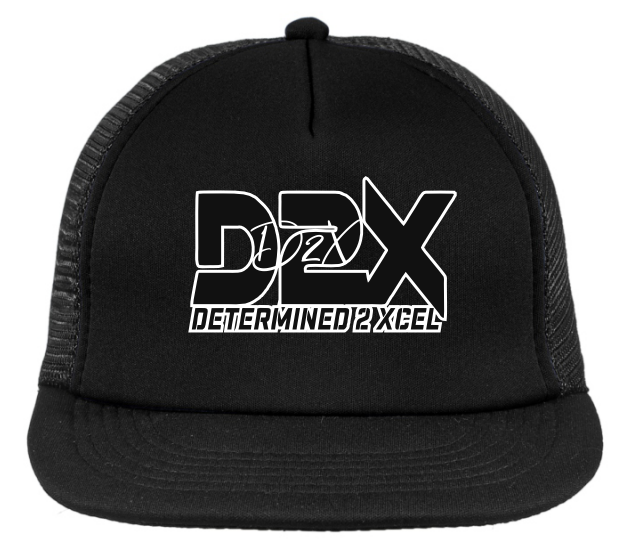D2X  HAT